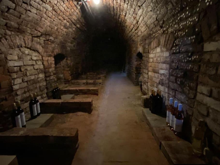 Apartmán Králíček na vínné stezce