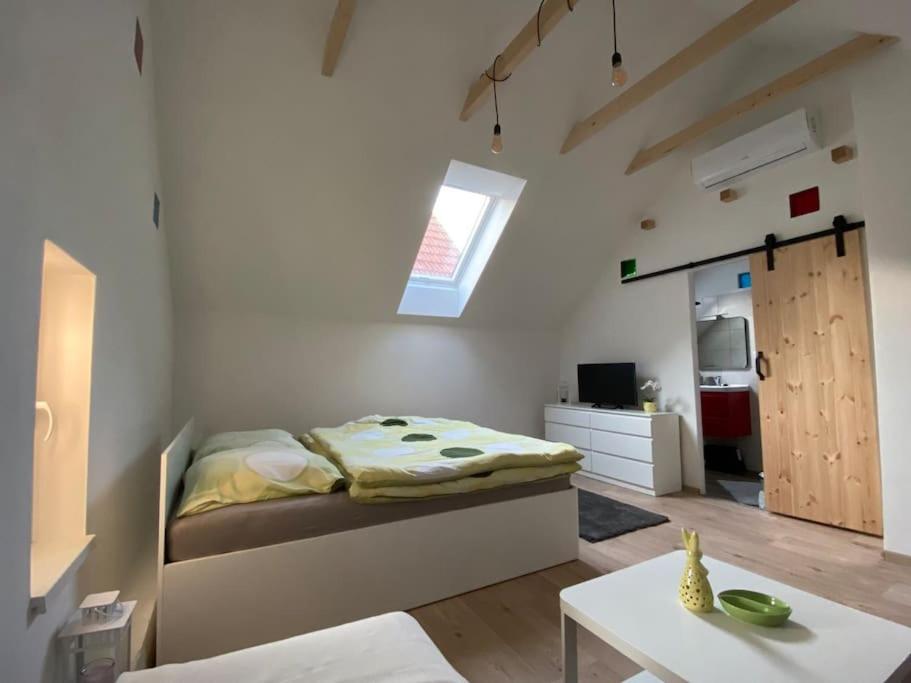 Apartmán Králíček na vínné stezce