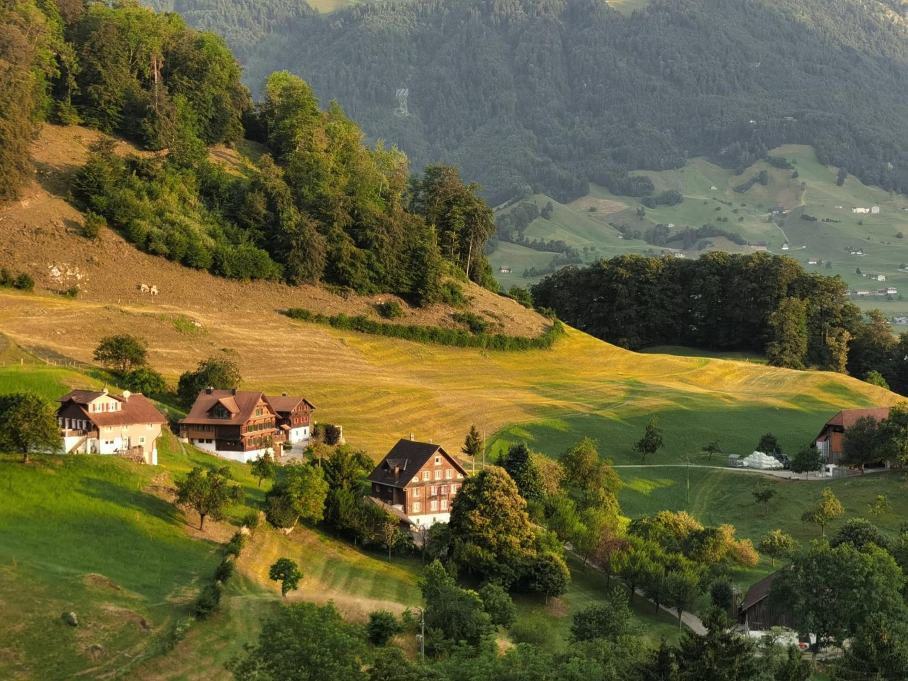 Wohnung auf dem Bürgenstock