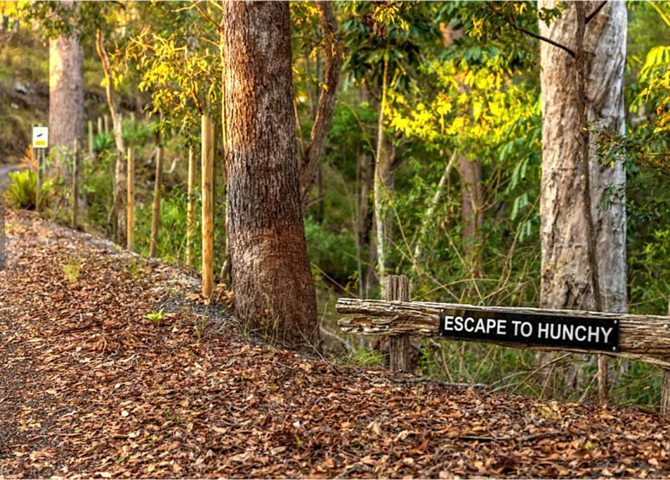 Hunchy Escape - Hinterland Pet Friendly!