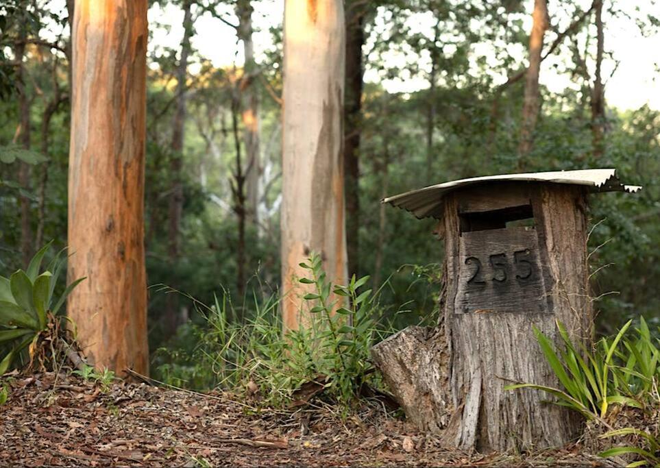 Hunchy Escape - Hinterland Pet Friendly!