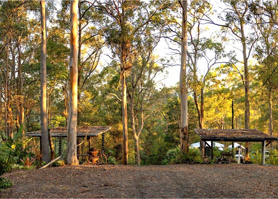 Hunchy Escape - Hinterland Pet Friendly!