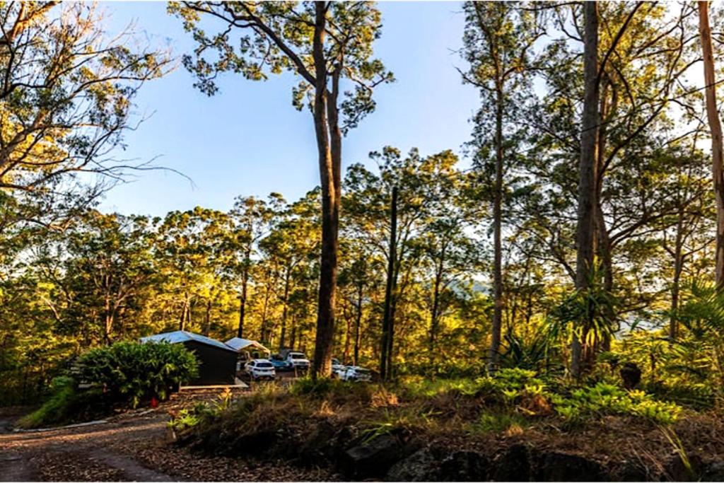 Hunchy Escape - Hinterland Pet Friendly!