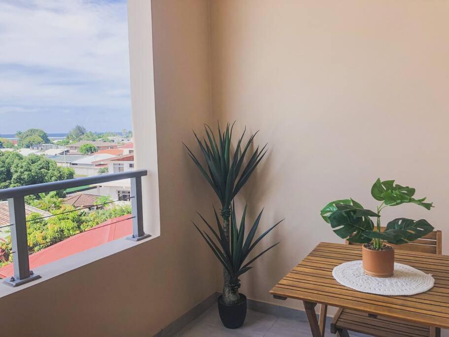 Appartement TERUPE