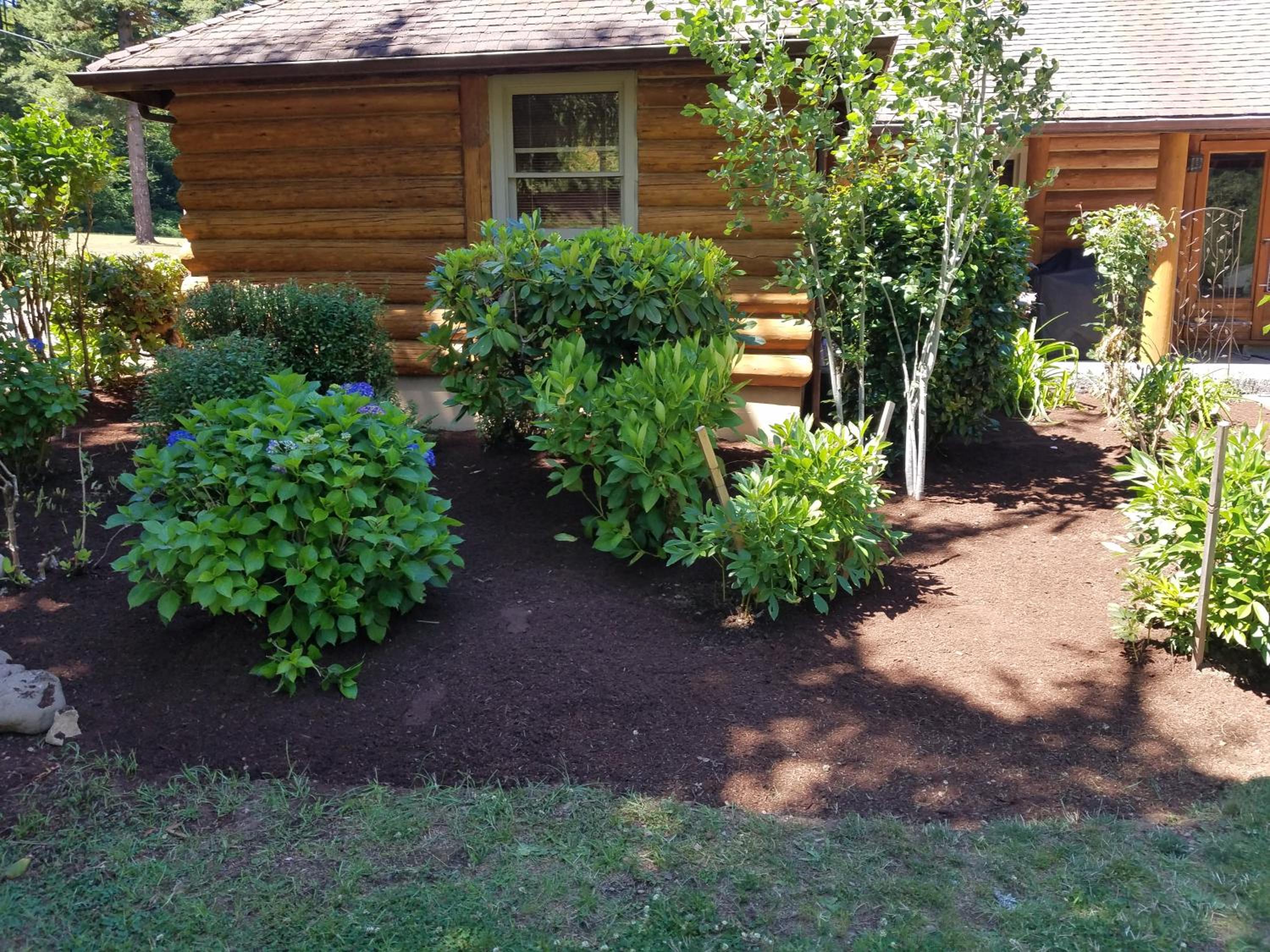 Photo 26