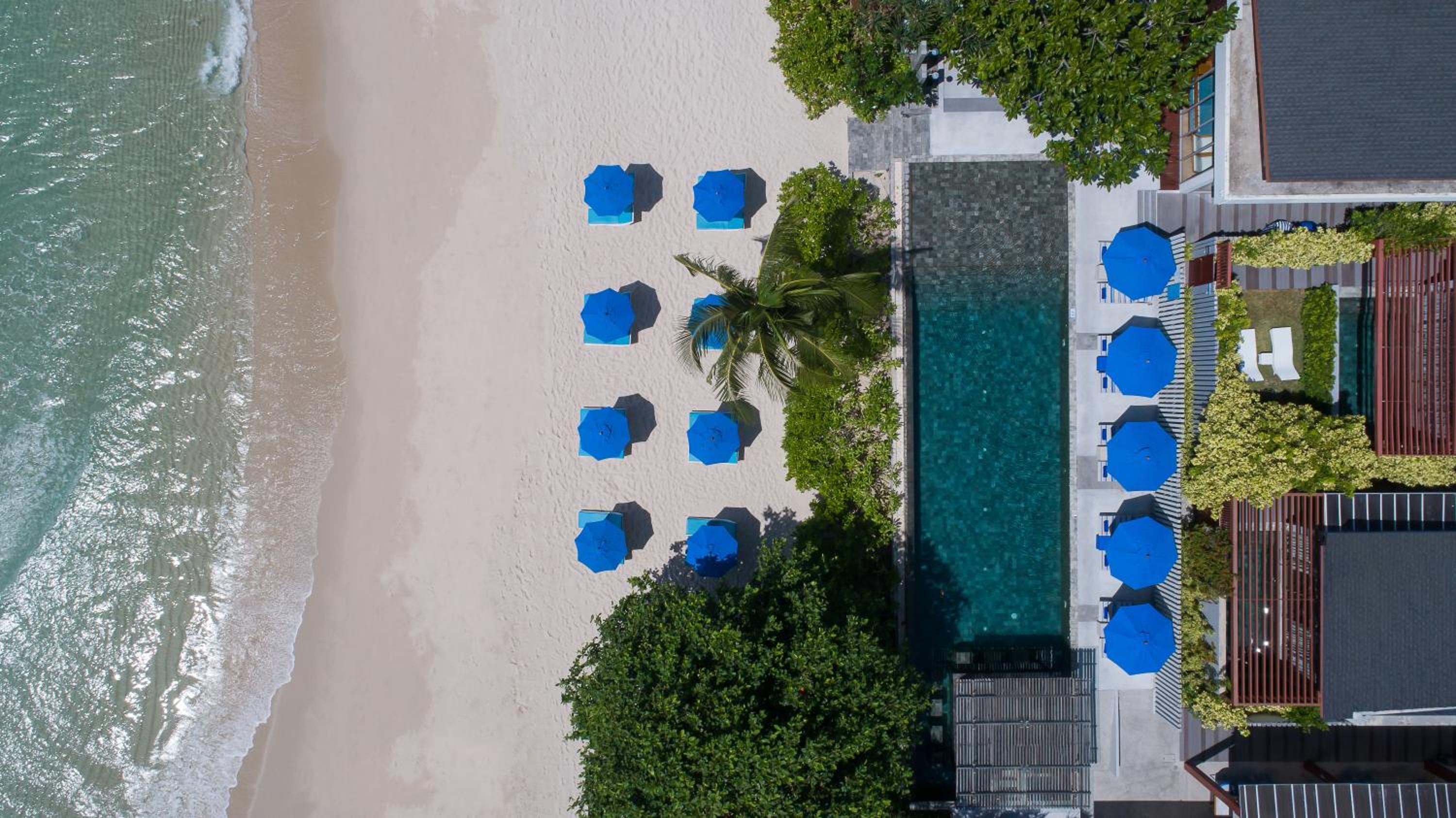 Synergy Samui