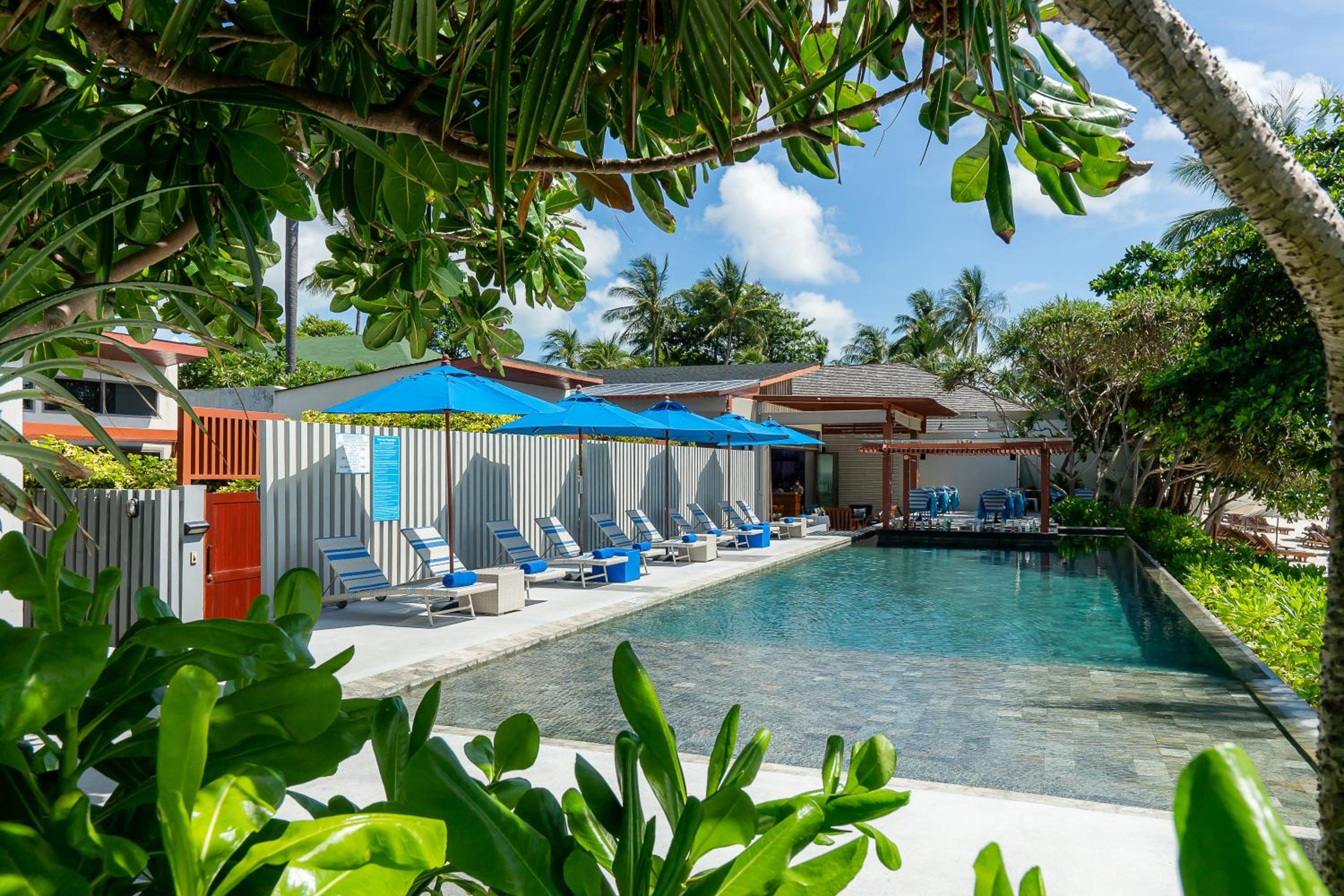 Synergy Samui