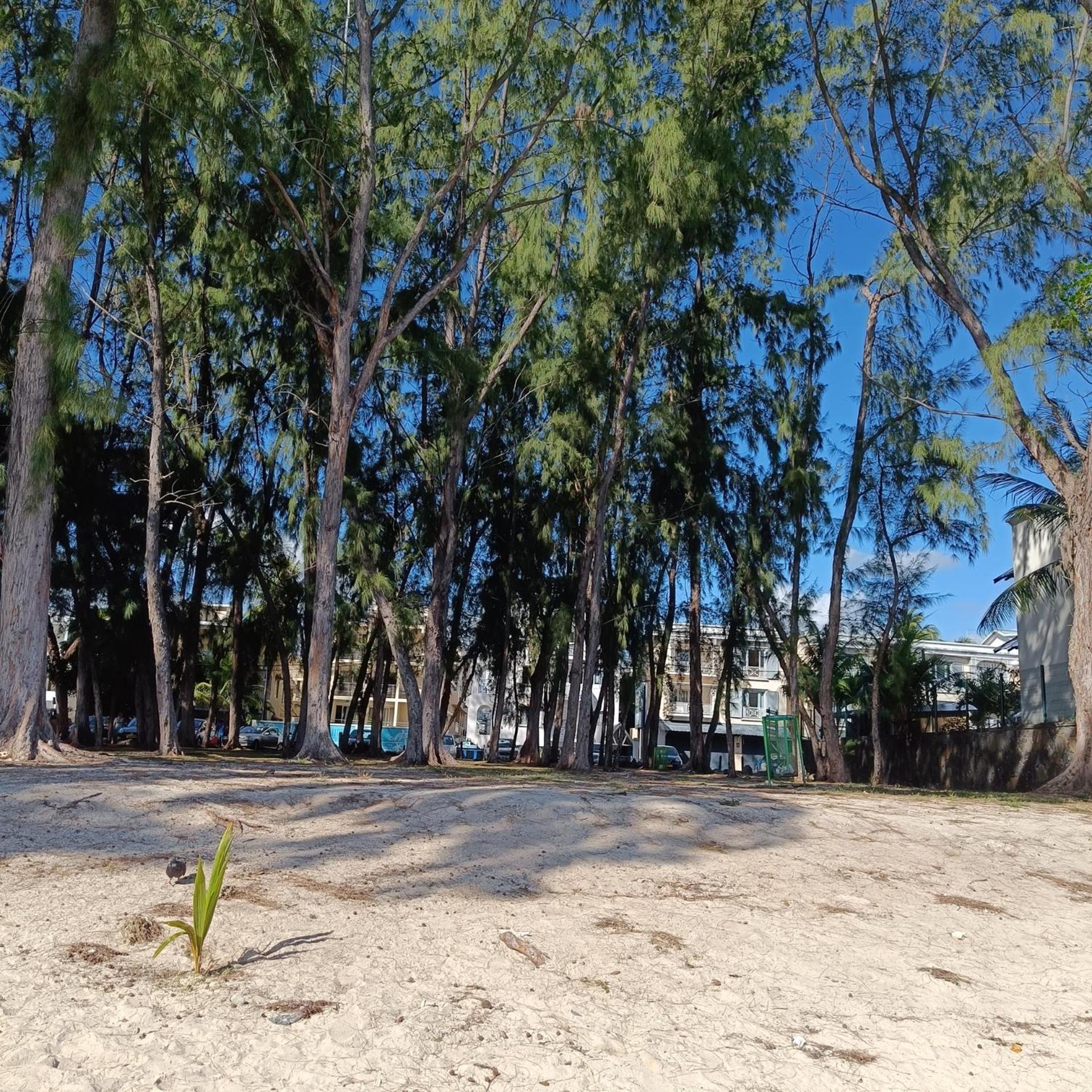 Photo 36