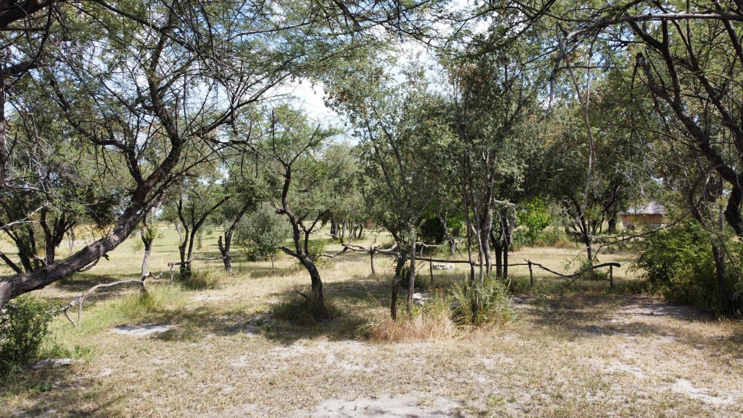 Chobe Hideaway