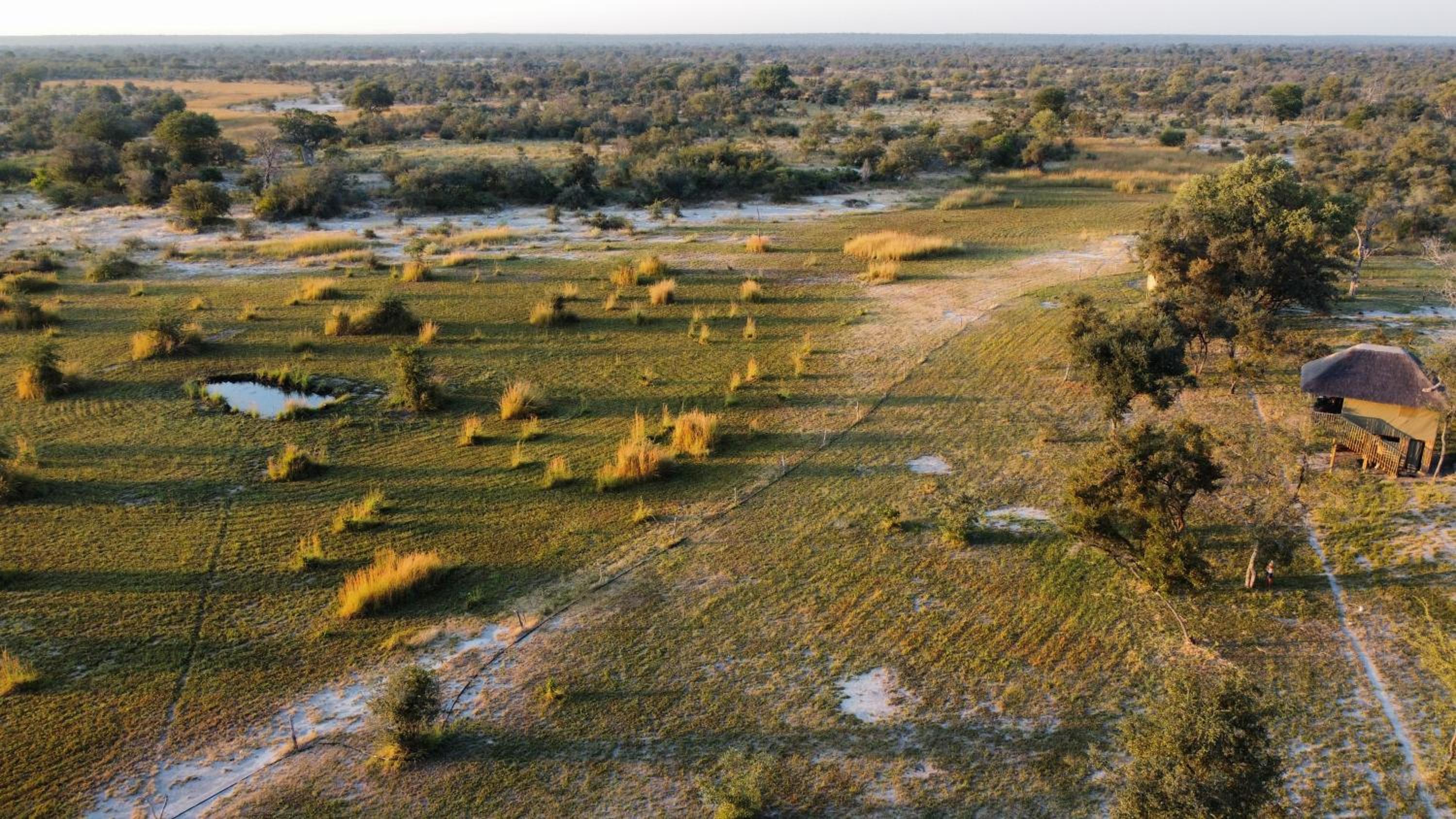 Chobe Hideaway