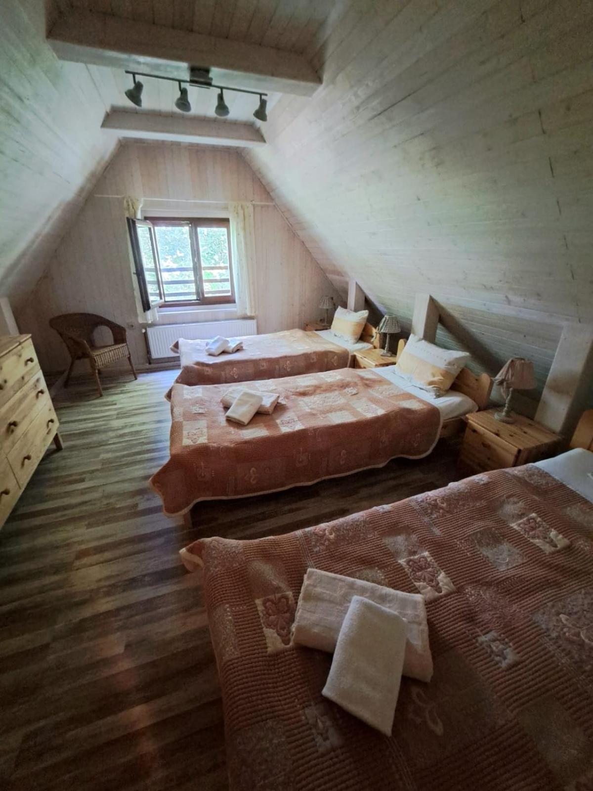 Zelený dom