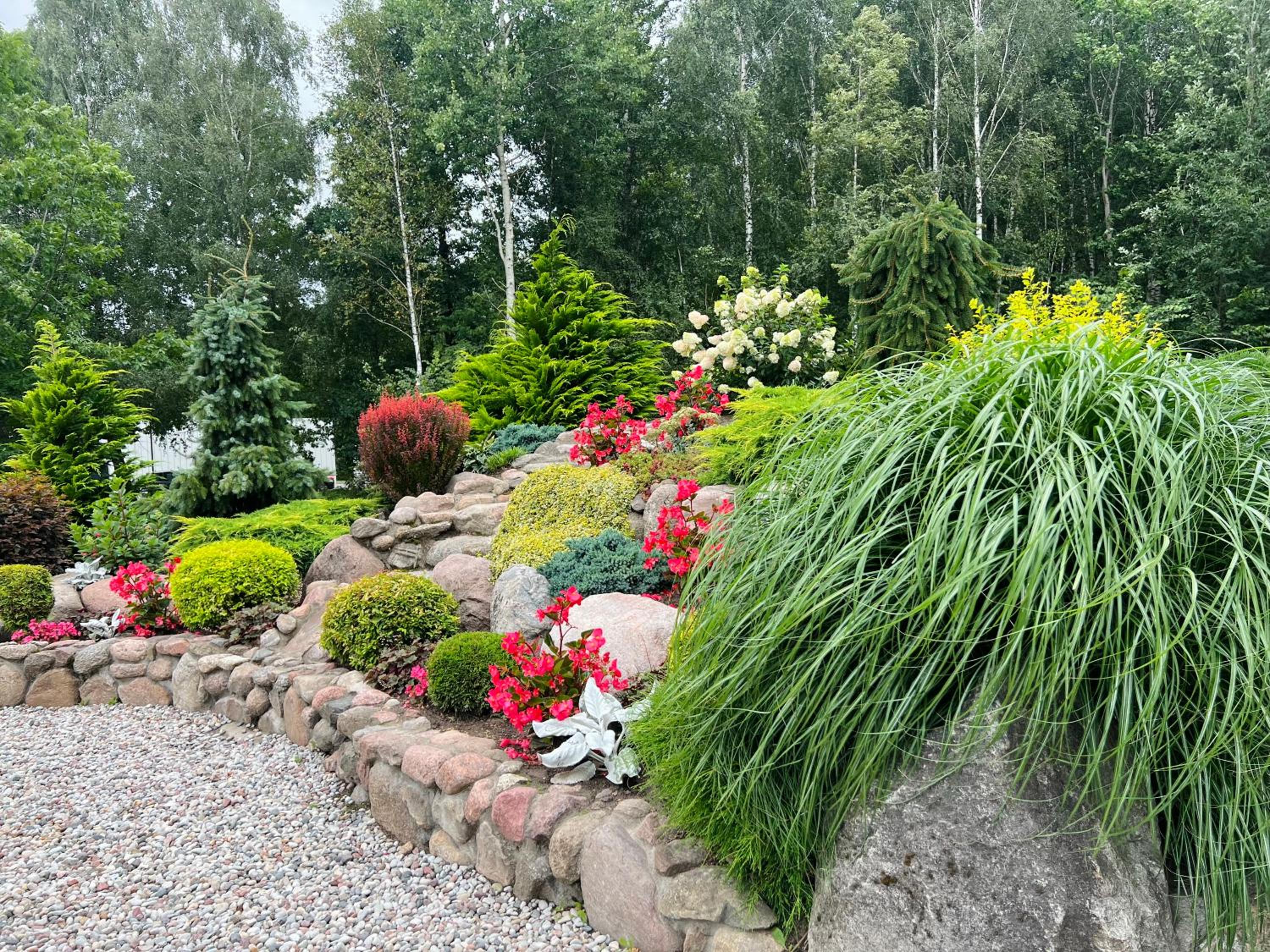 Vėjukai view 5
