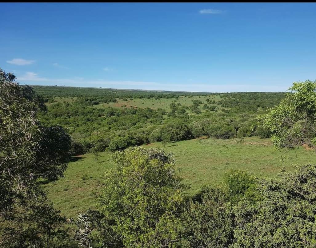 Kareekloof Game Farm