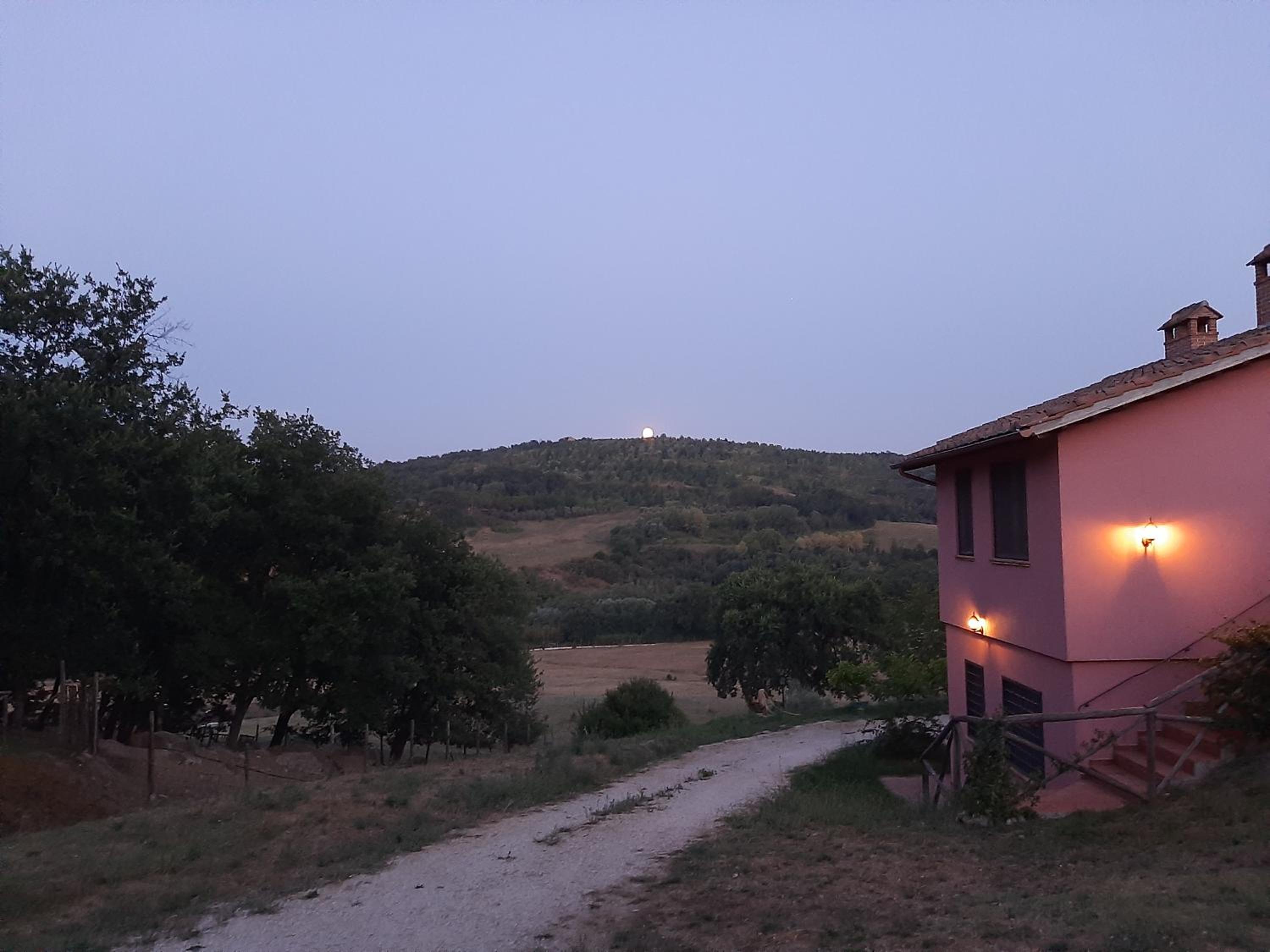 L'Albero degli Struzzi view 3