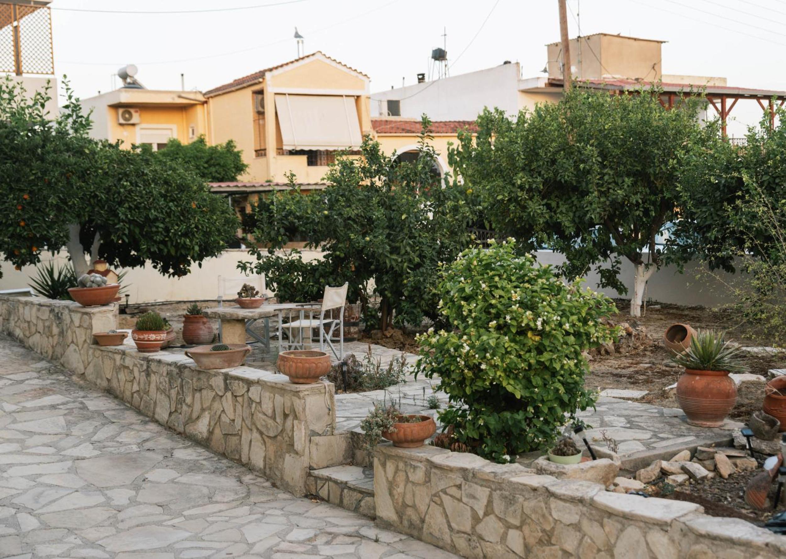 Photo 19