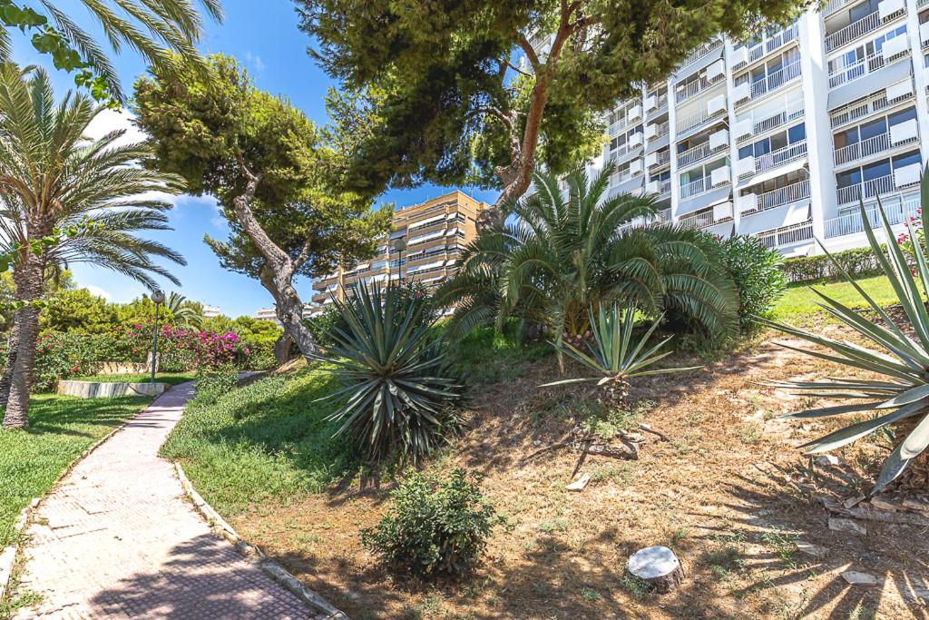 Lovely Flat on the beach - awesome view view 3