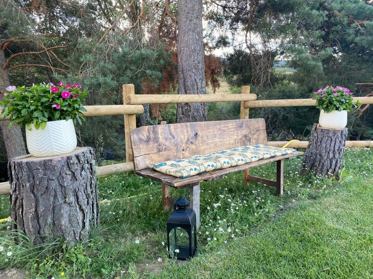 CASA NATURAE - Property Image 3