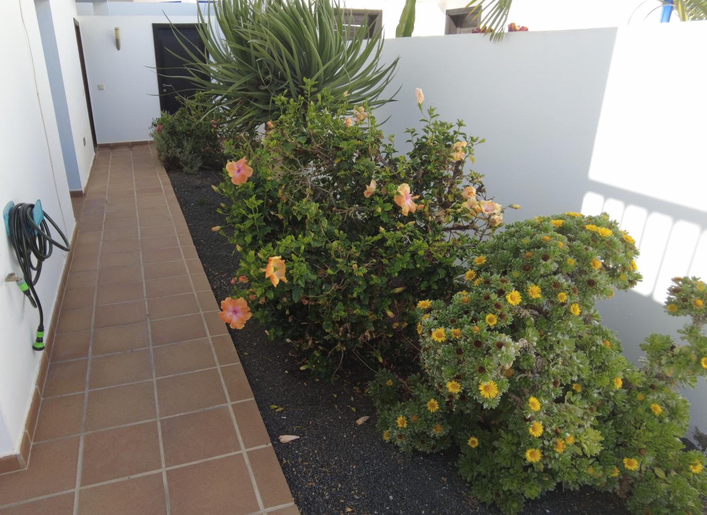 Photo 42