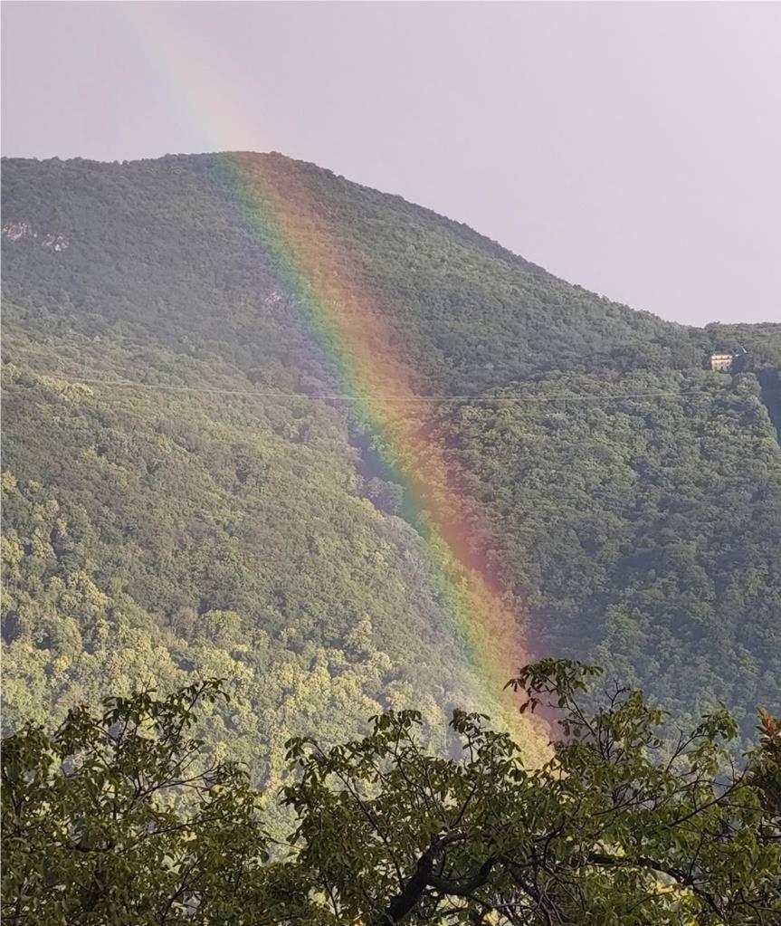 Auf dem Regenbogen
