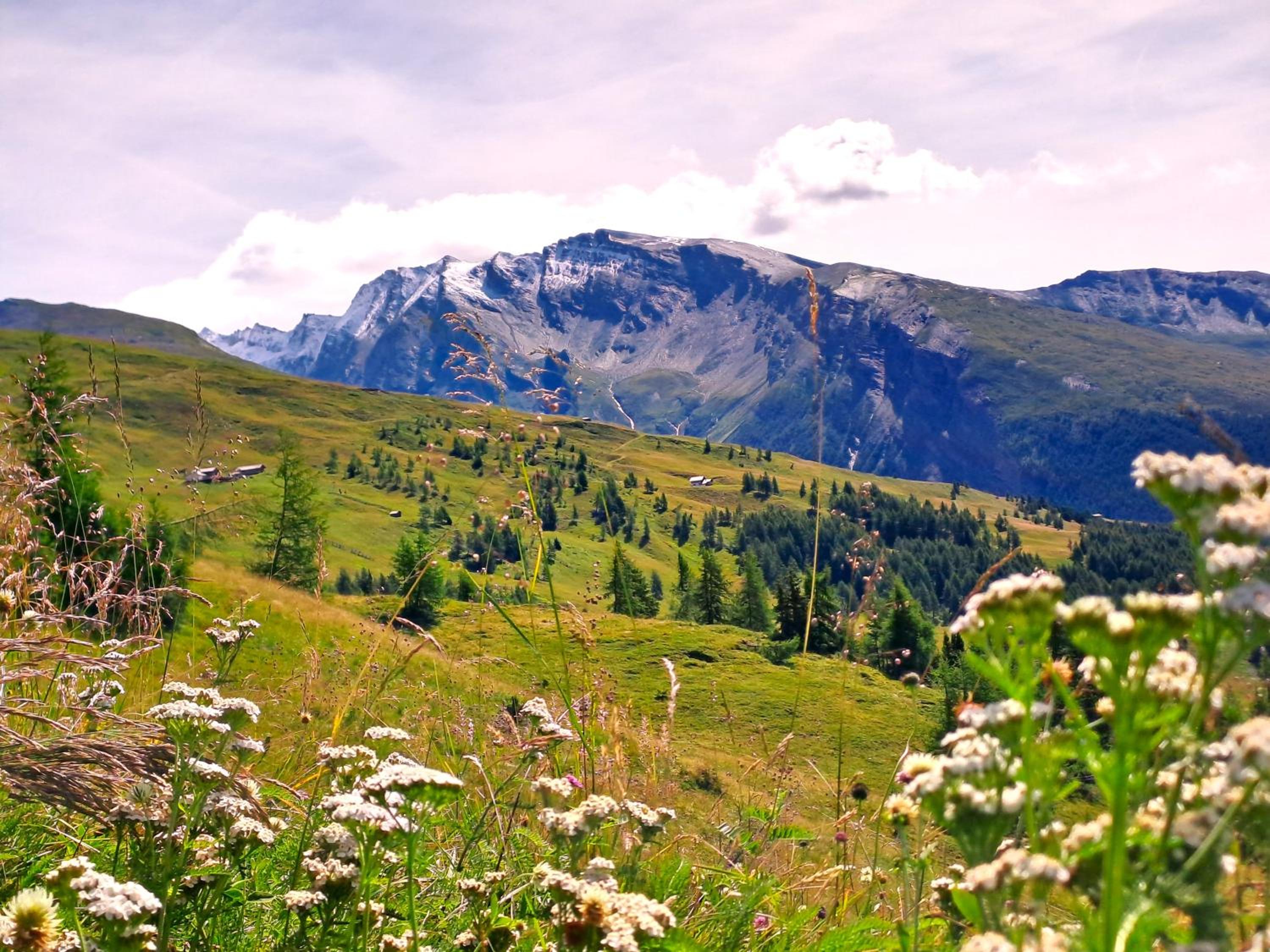 Appartement Seppenbauer - Seppenbauerhof, Kärnten Card inklusive, Ticket Großglockner Hochalpenstraße