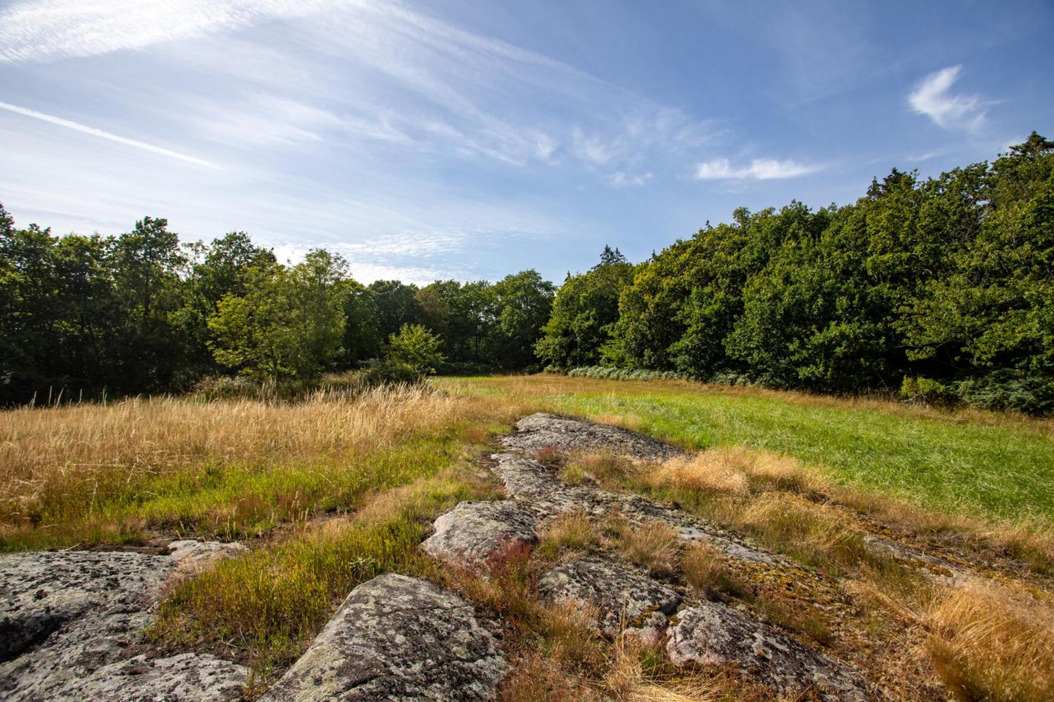 Sjælegård Countryside Lodge