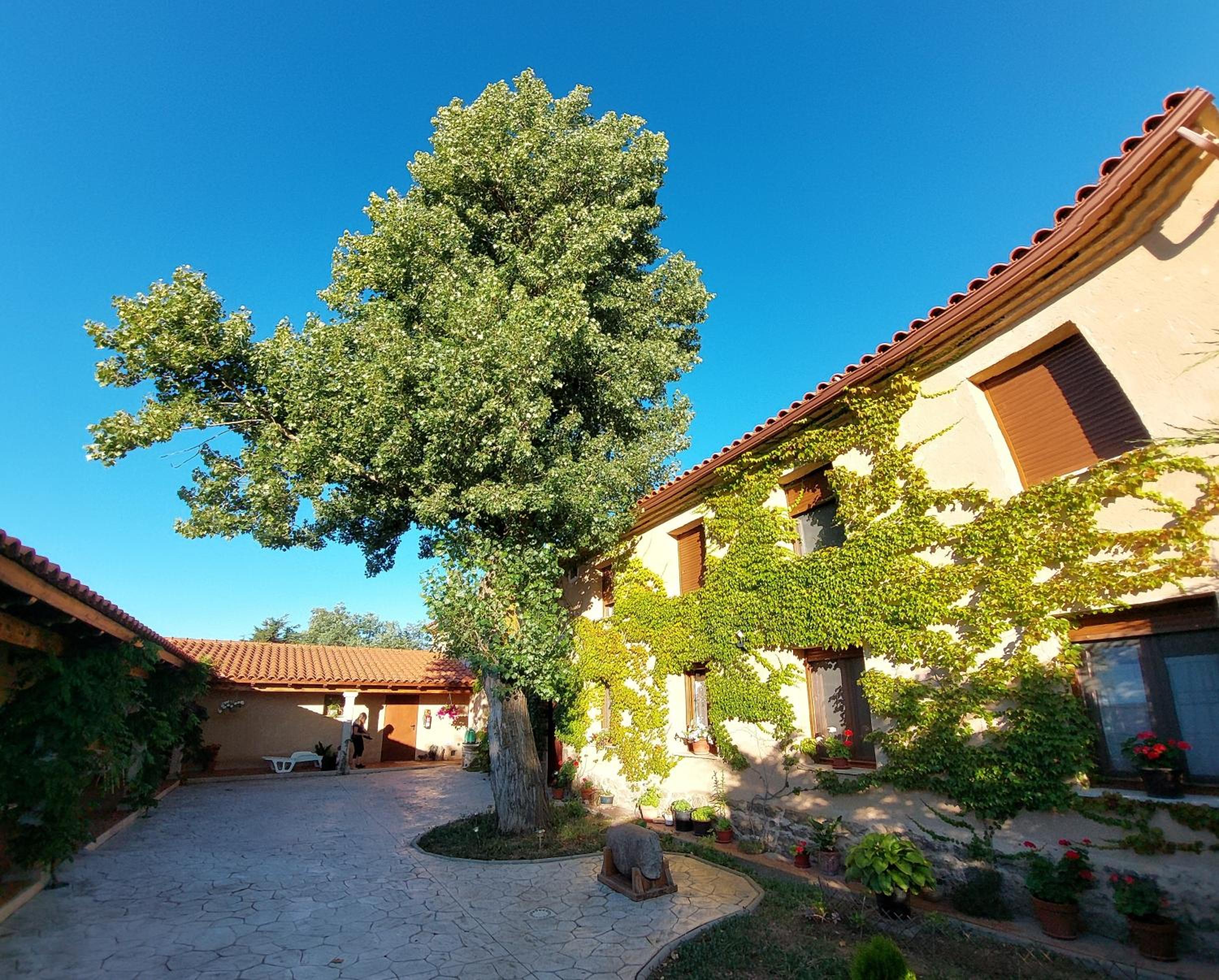 Casa Atenea