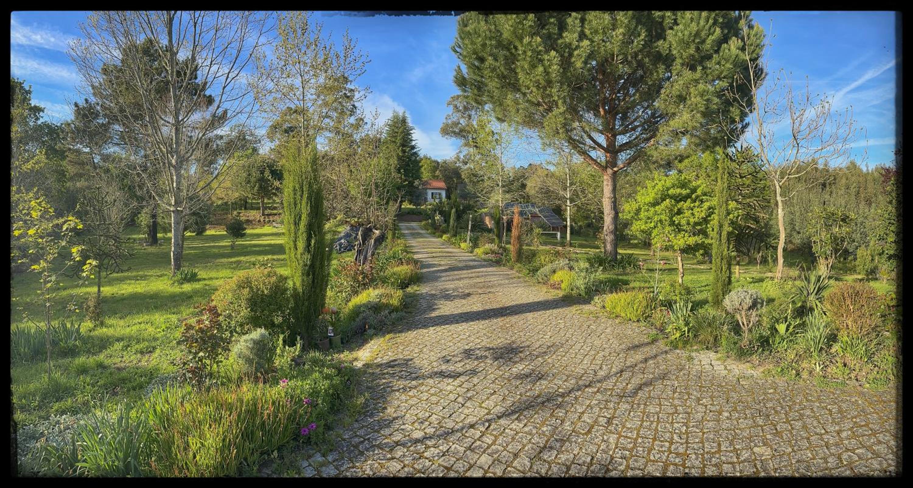 Photo 29