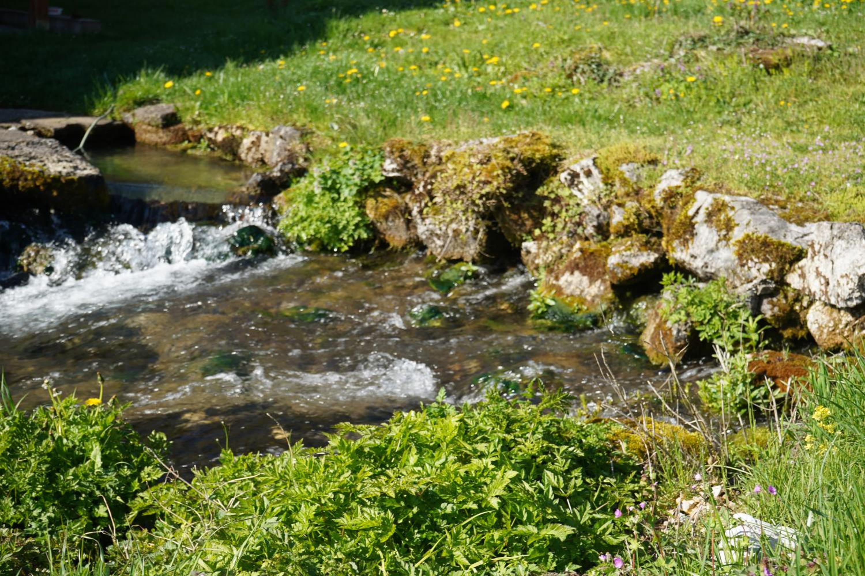 Domacinstvo na kraju svijeta