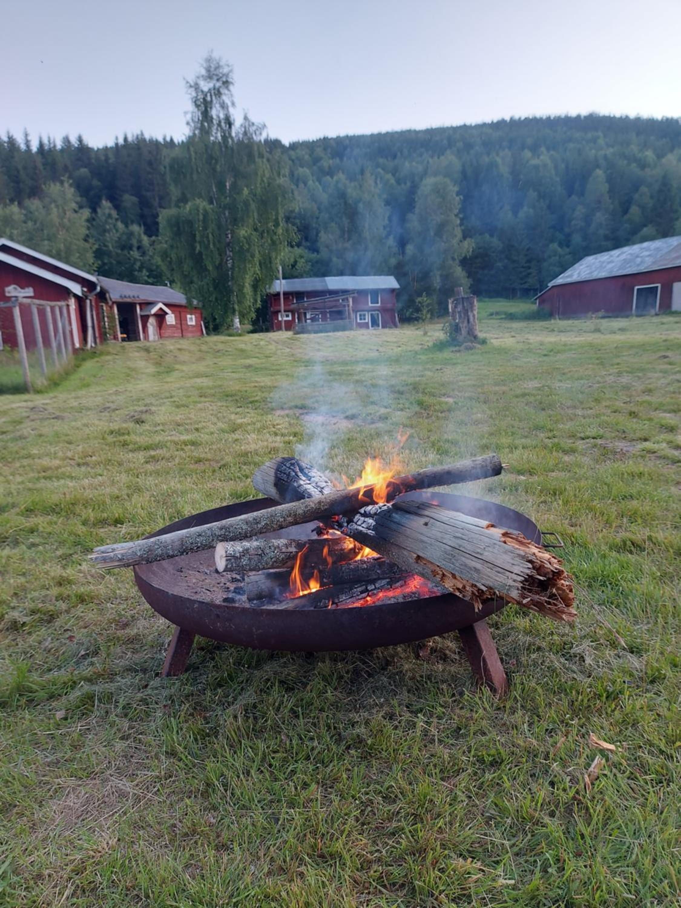 Photo 21
