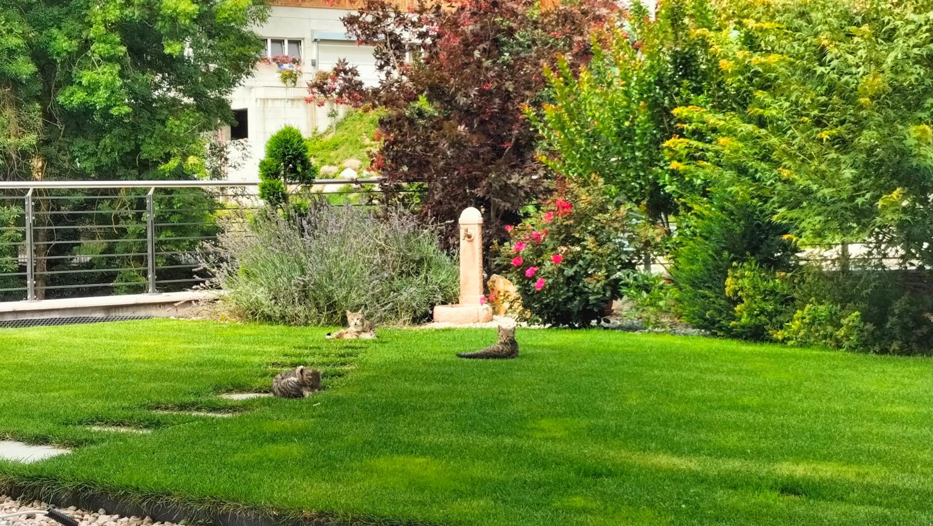 Agritur La Fenice