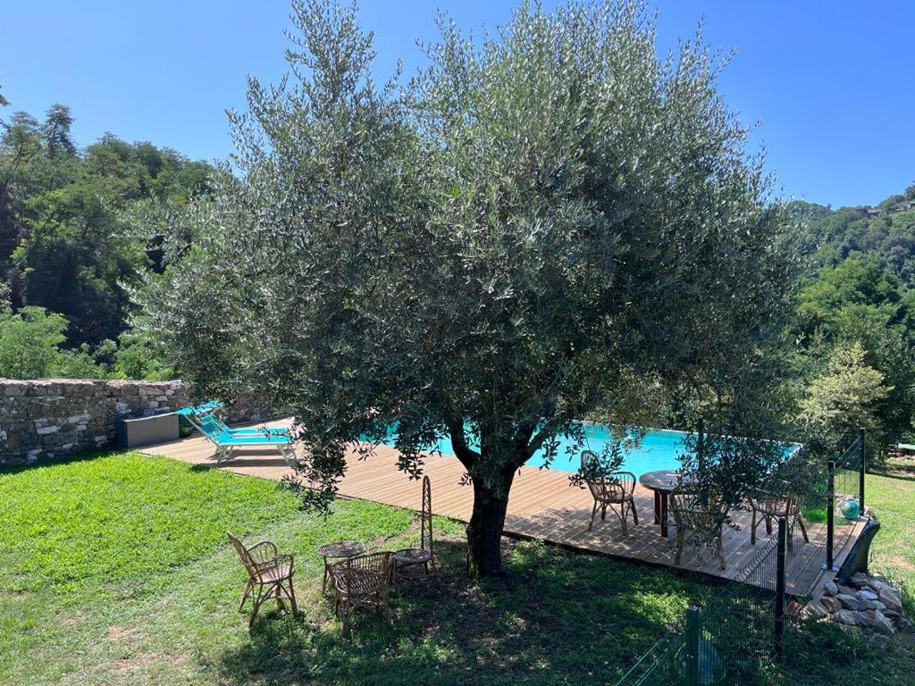 Podere il Giardino - Casale Rustico degli Ulivi con piscina e parco - Lucca photo 3