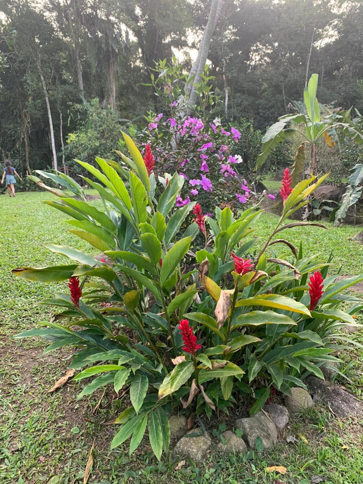 Casa da Cachoeira Surucuá
