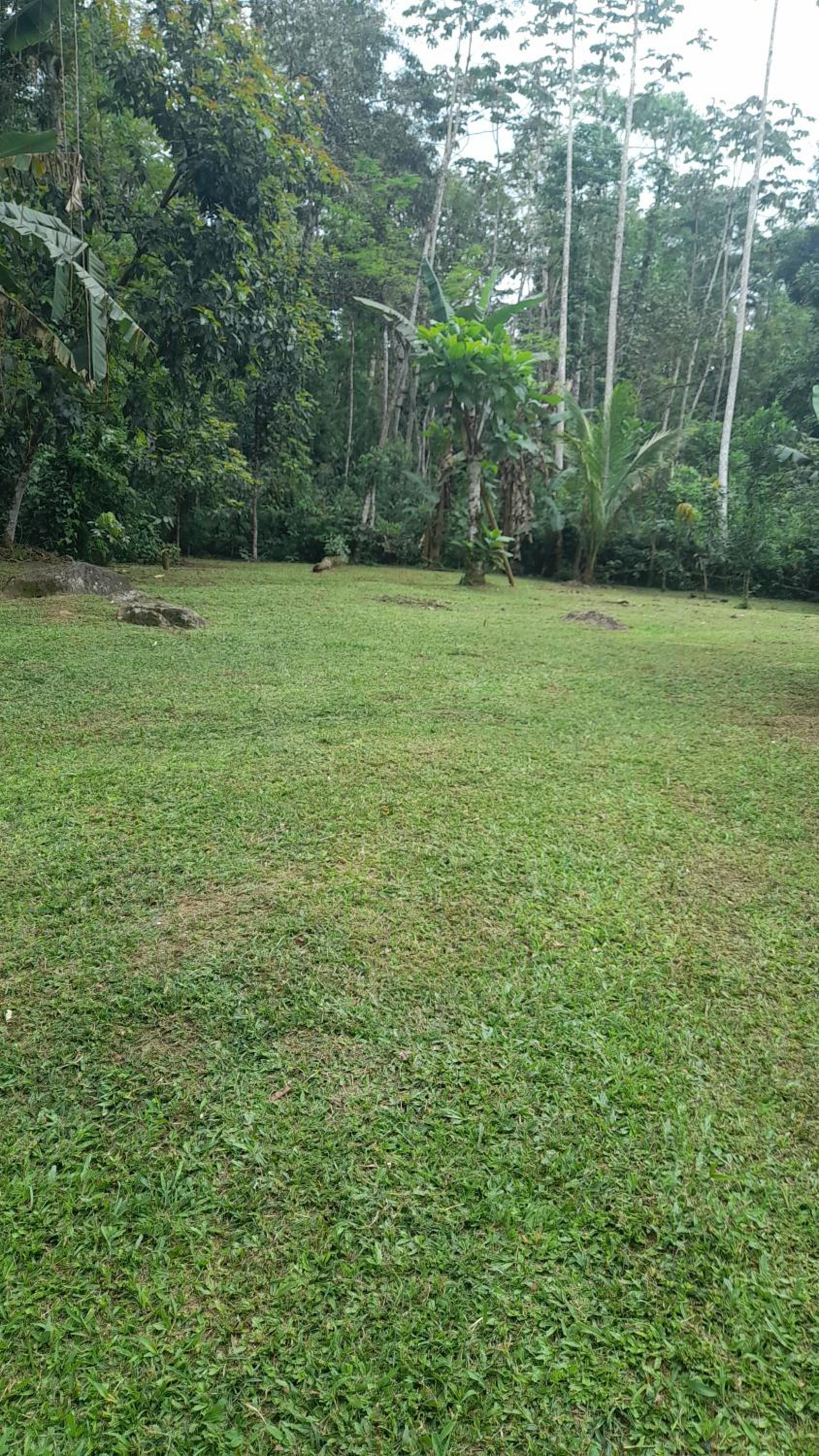 Casa da Cachoeira Surucuá