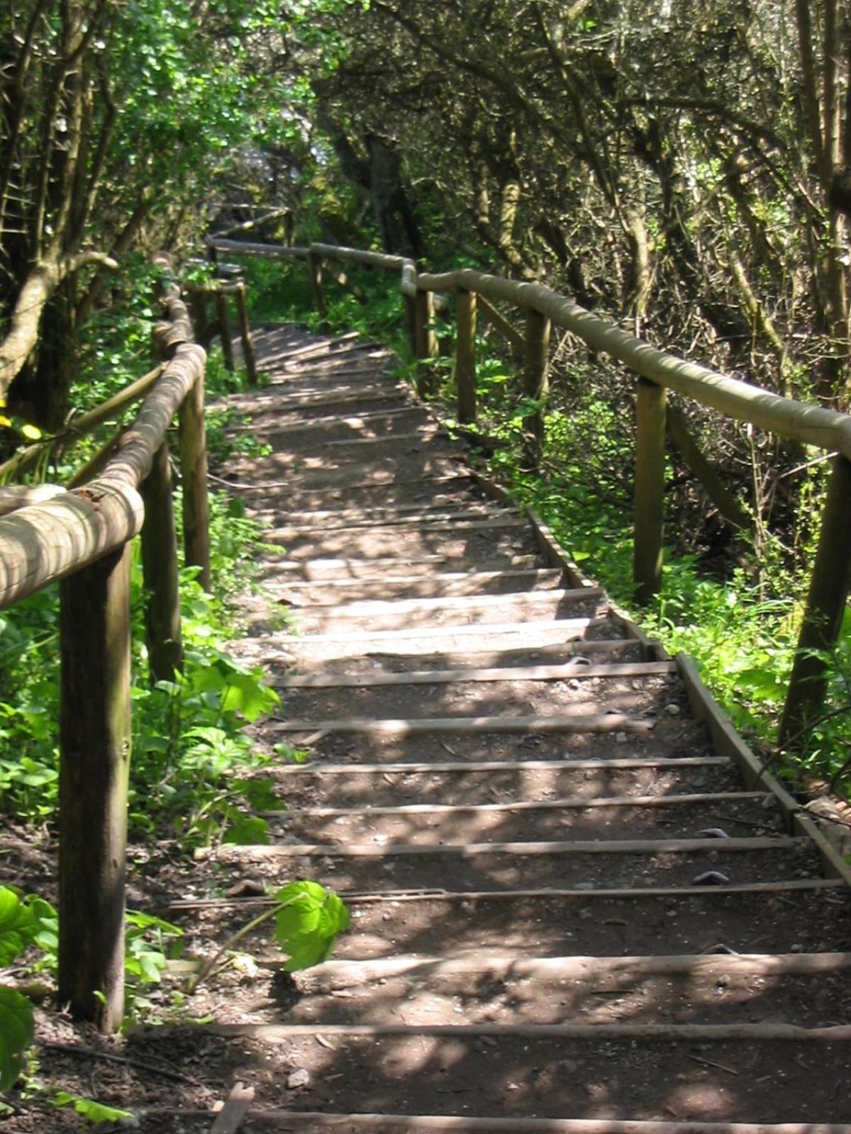 Photo 43