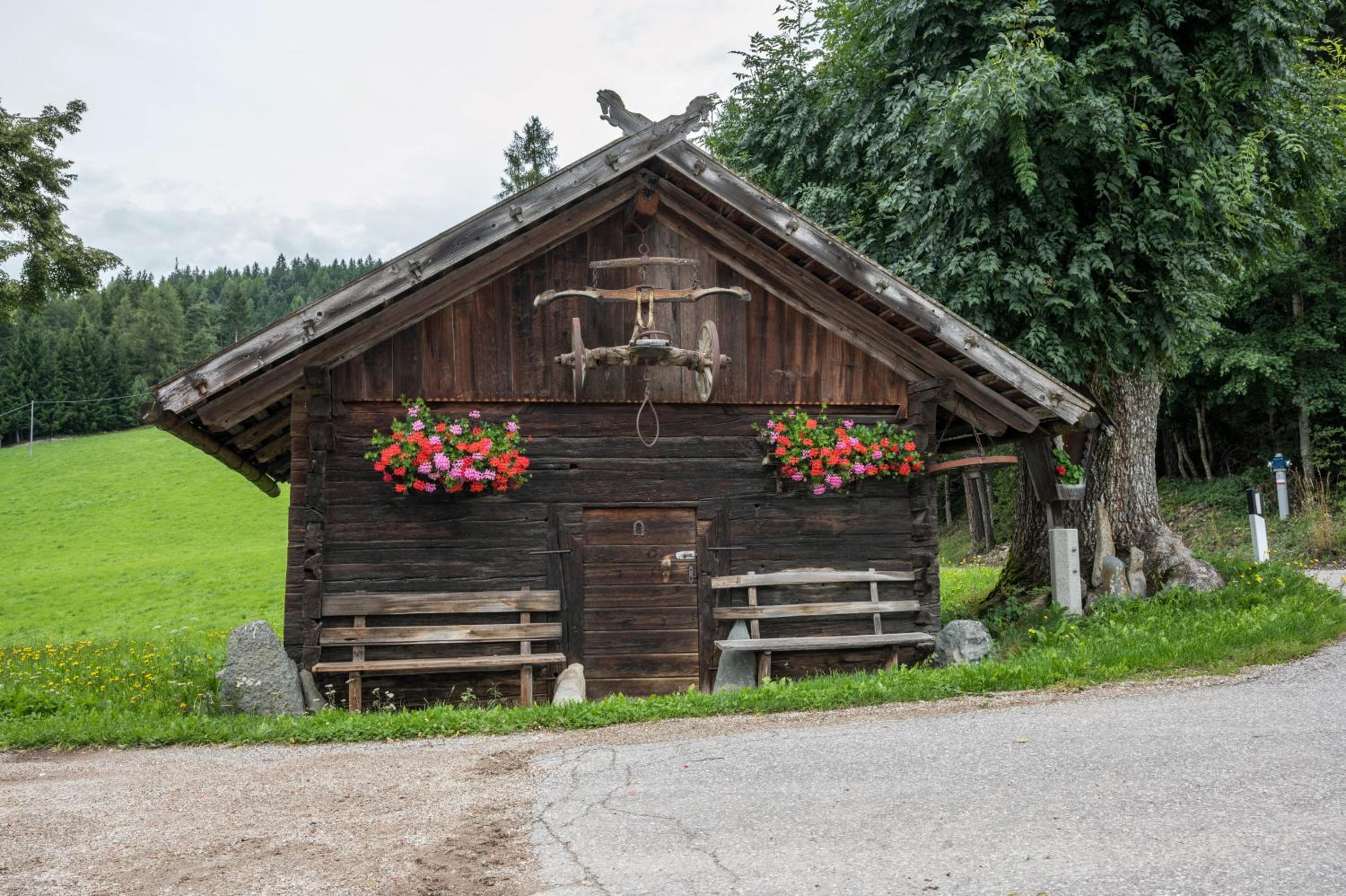 Photo 25