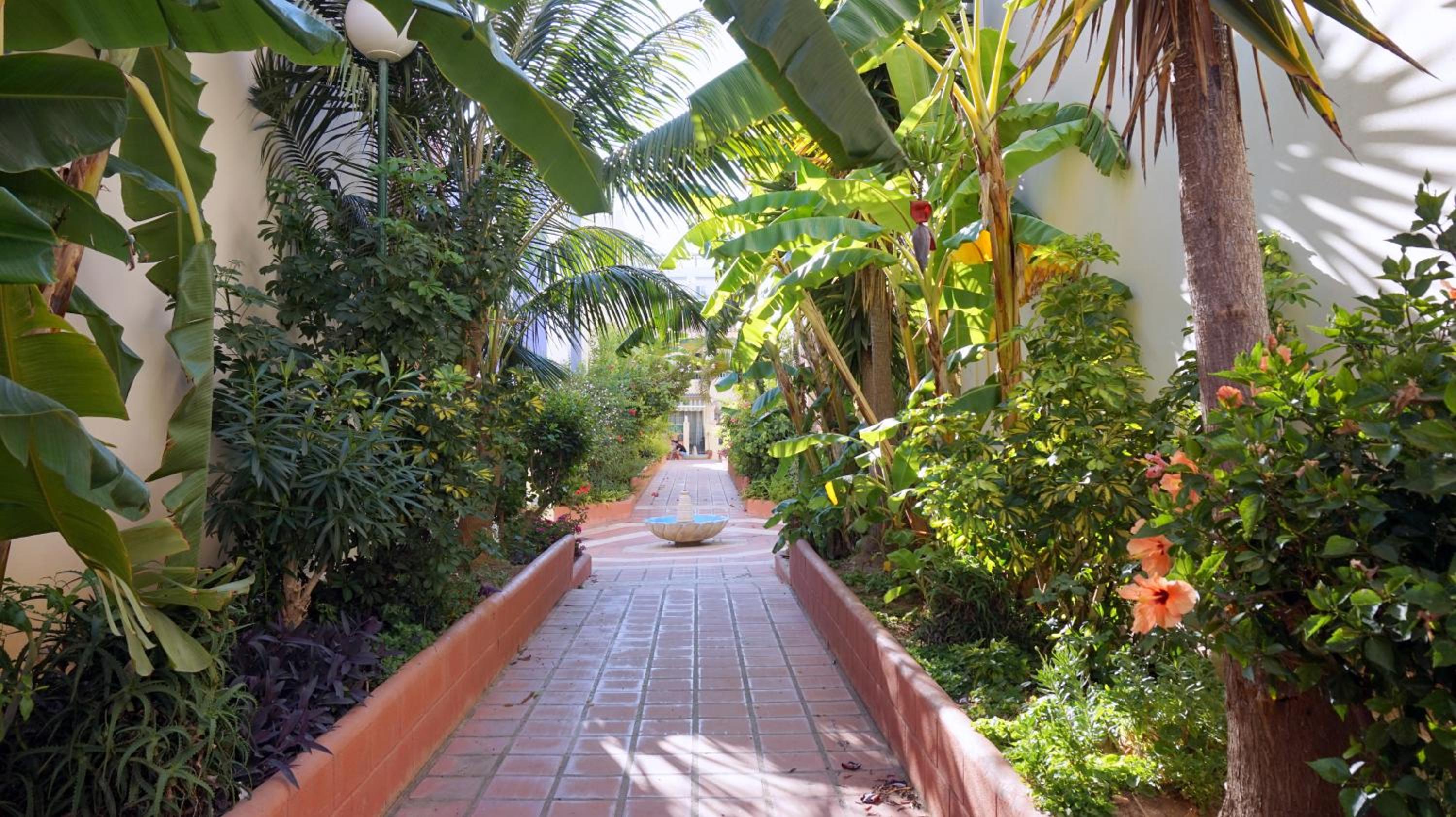 Apartamentos StarNerja II