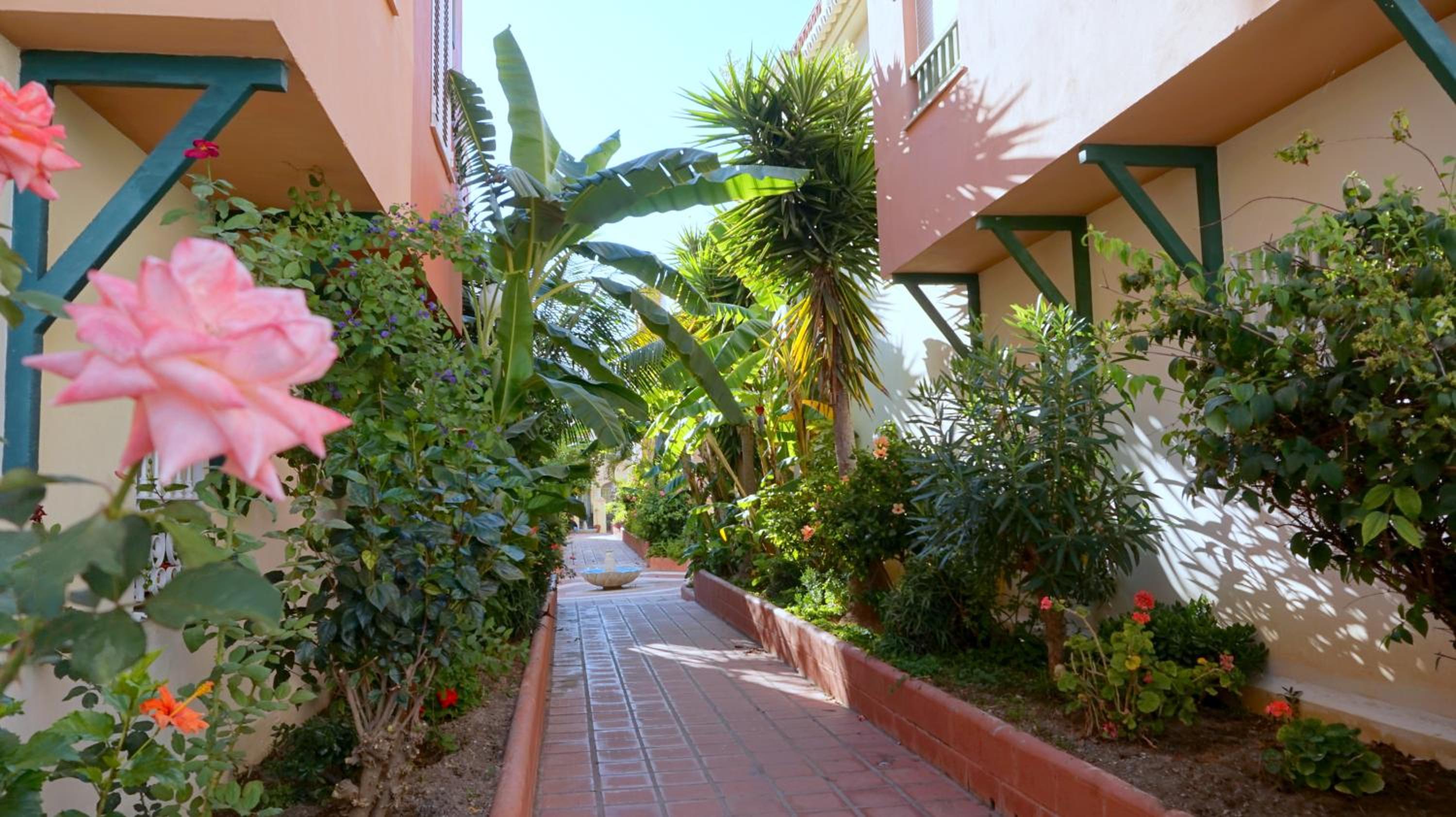Apartamentos StarNerja II