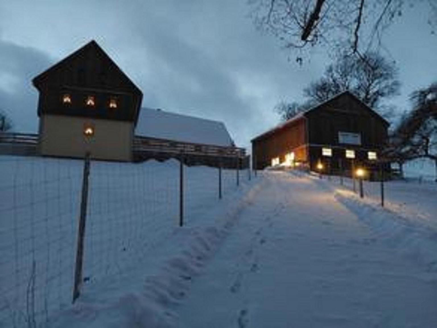 Ferienhaus Alpaka Glück