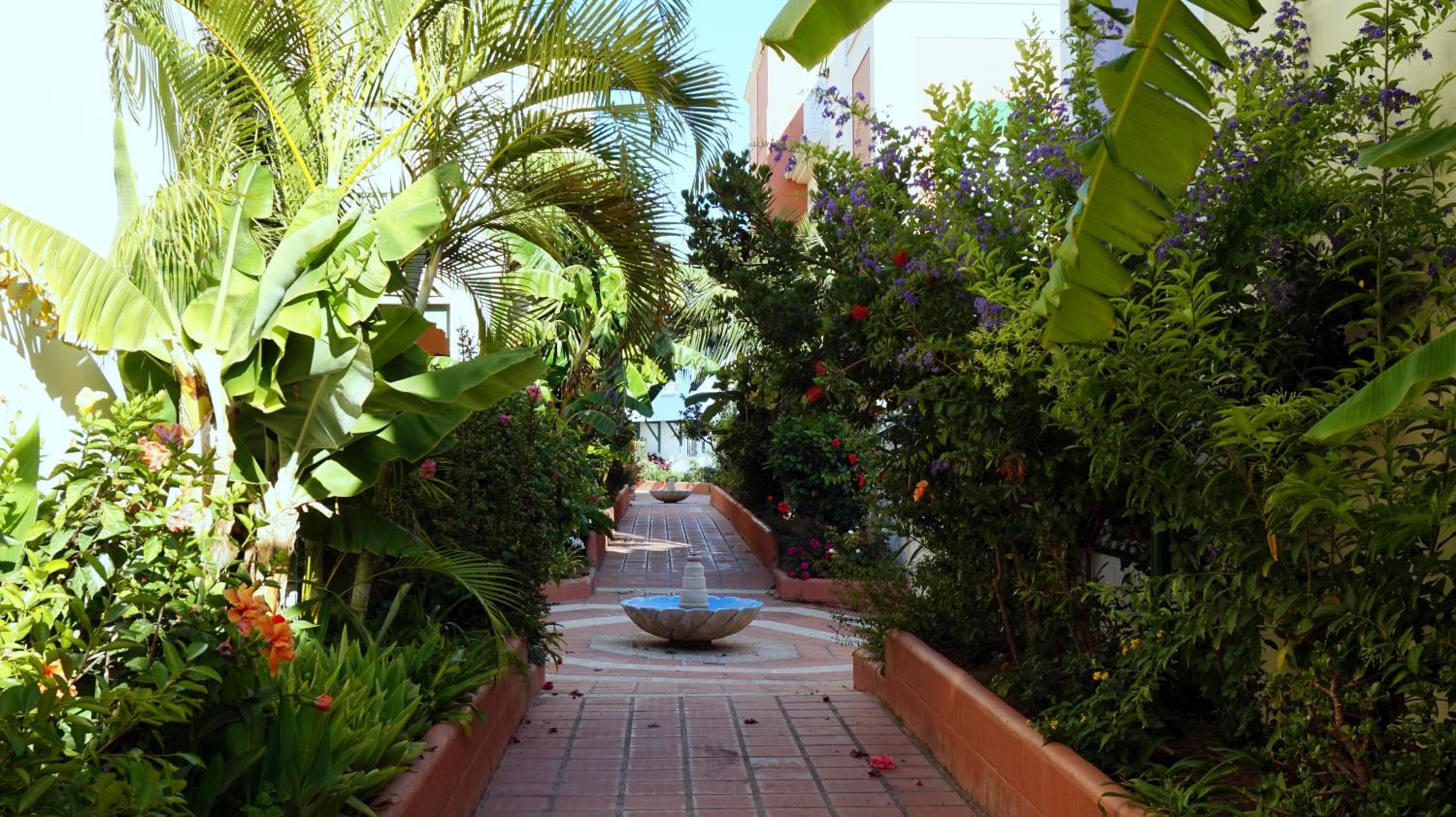 Apartamentos StarNerja II