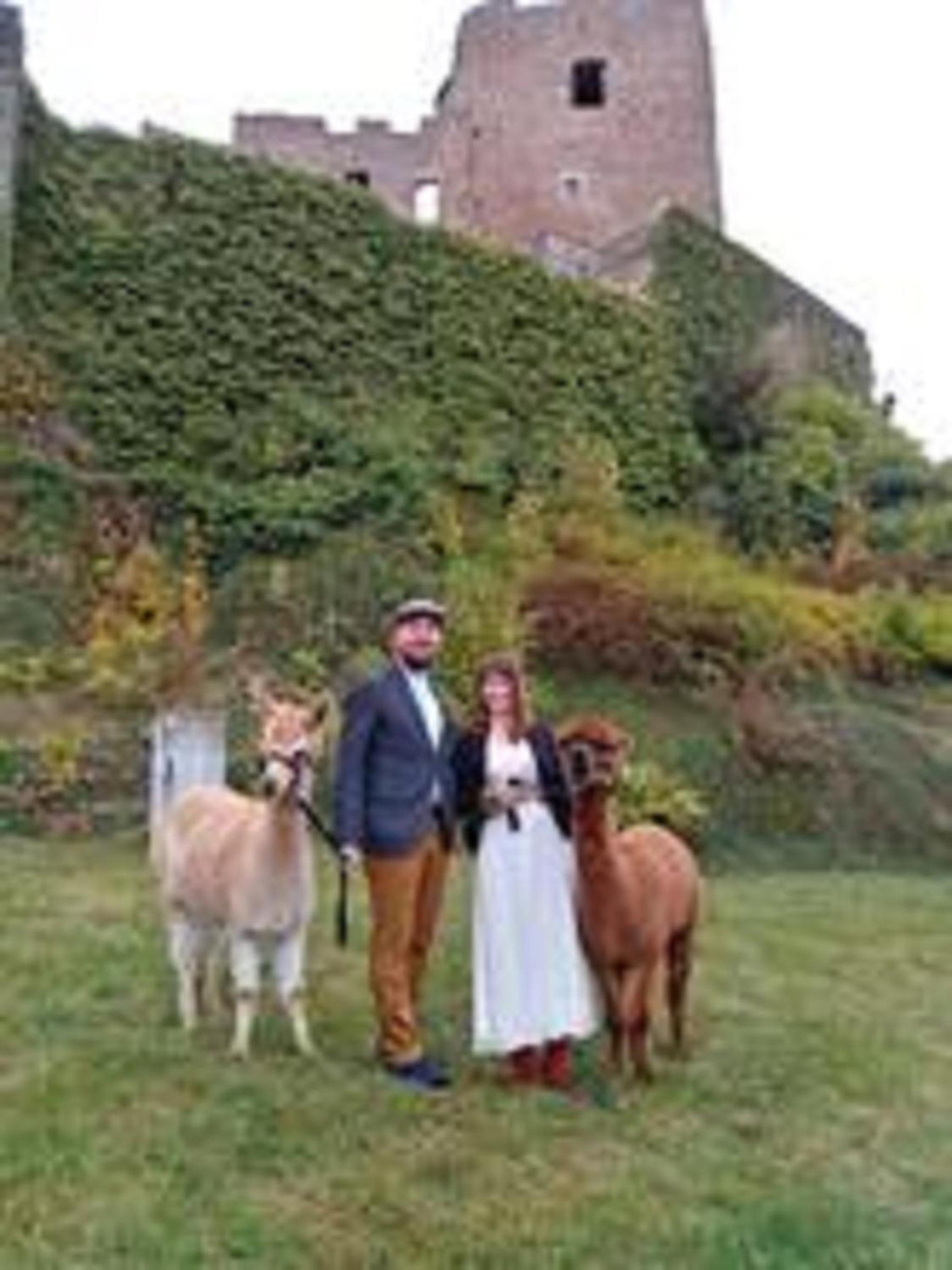 Ferienhaus Alpaka Glück
