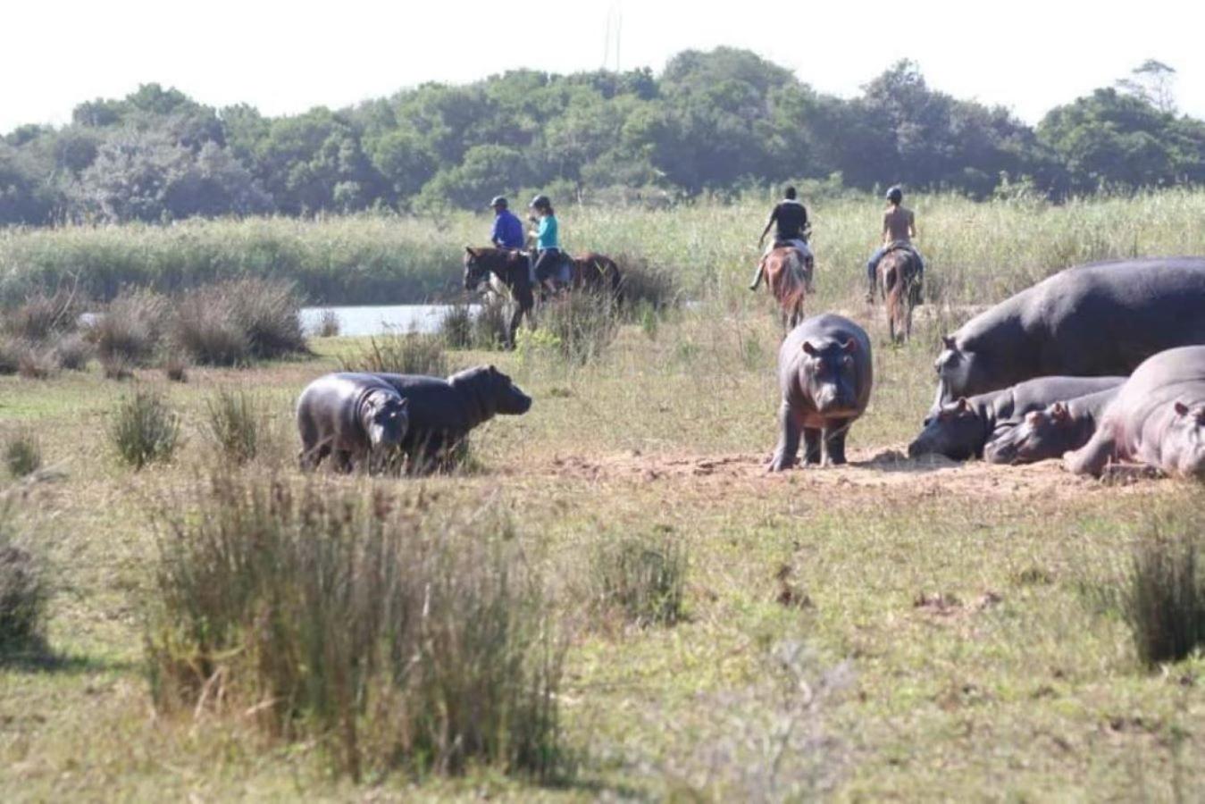 Leopard Corner Lodge