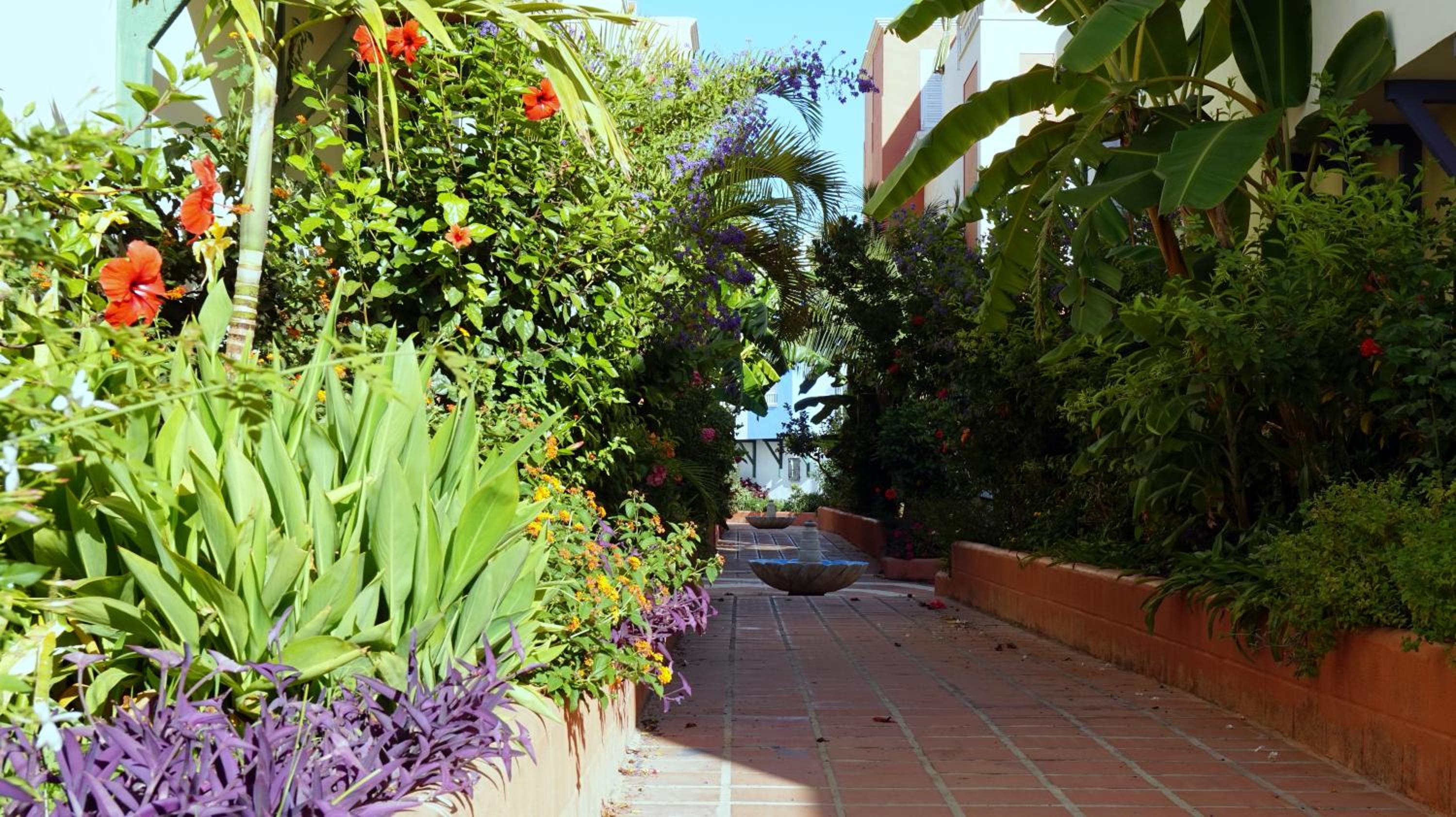 Apartamentos StarNerja II
