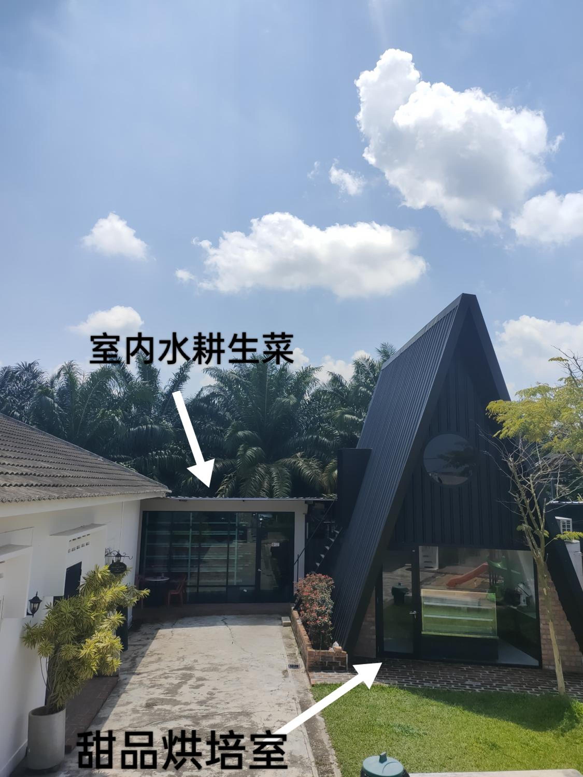 Bean & Bed Guesthouse view 2