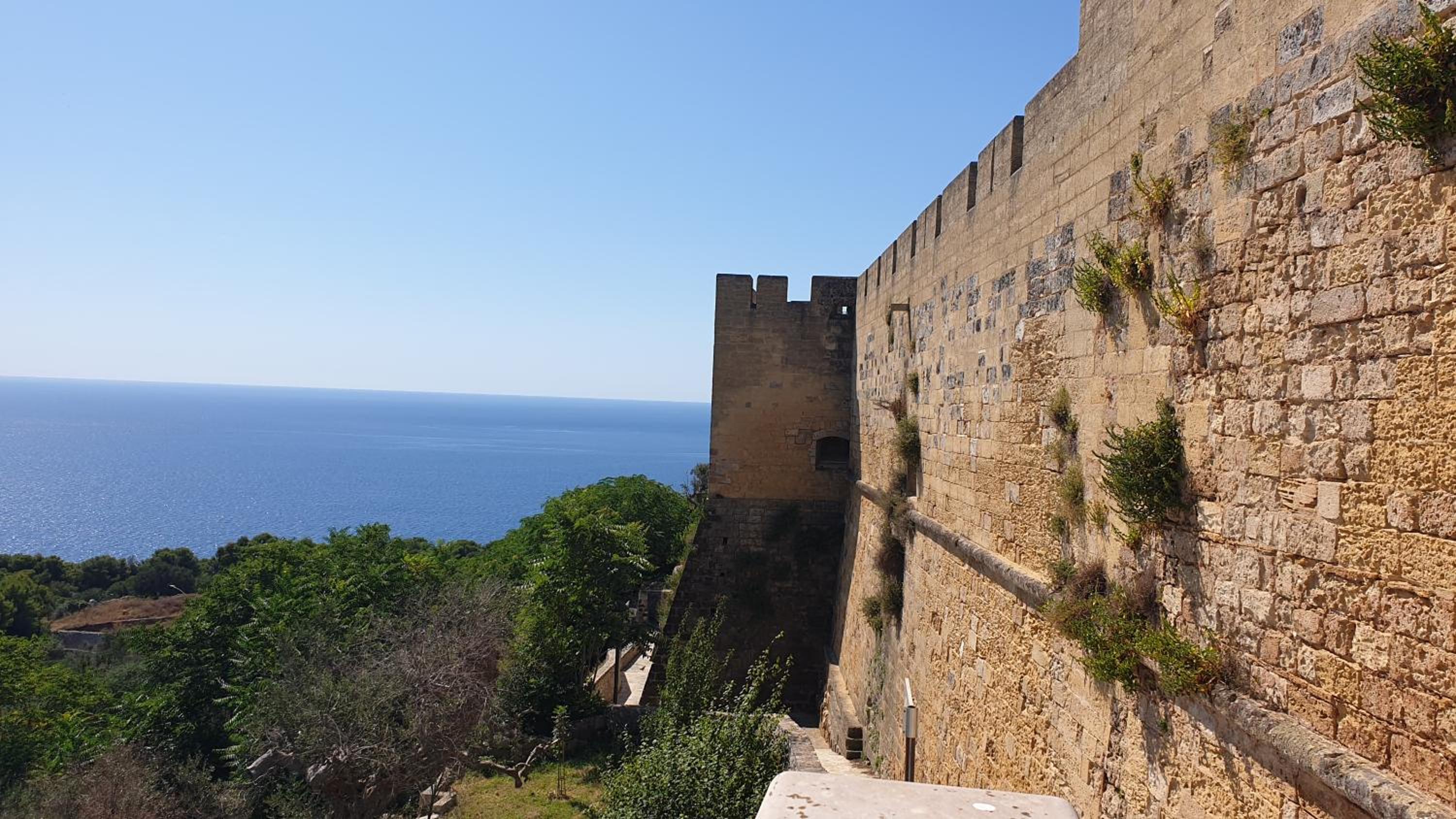 Vista Alba - Casa Delfino photo 5