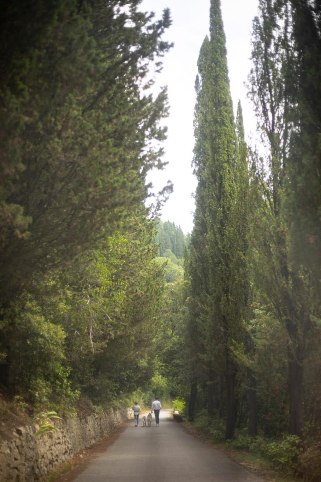 Agriturismo Tassinaia