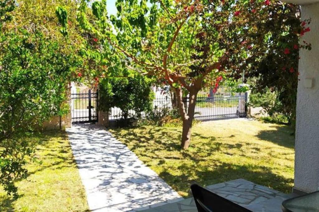 Greek village life by the sea view 4
