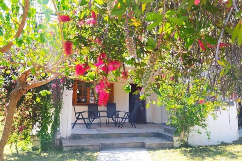 Greek village life by the sea view 5