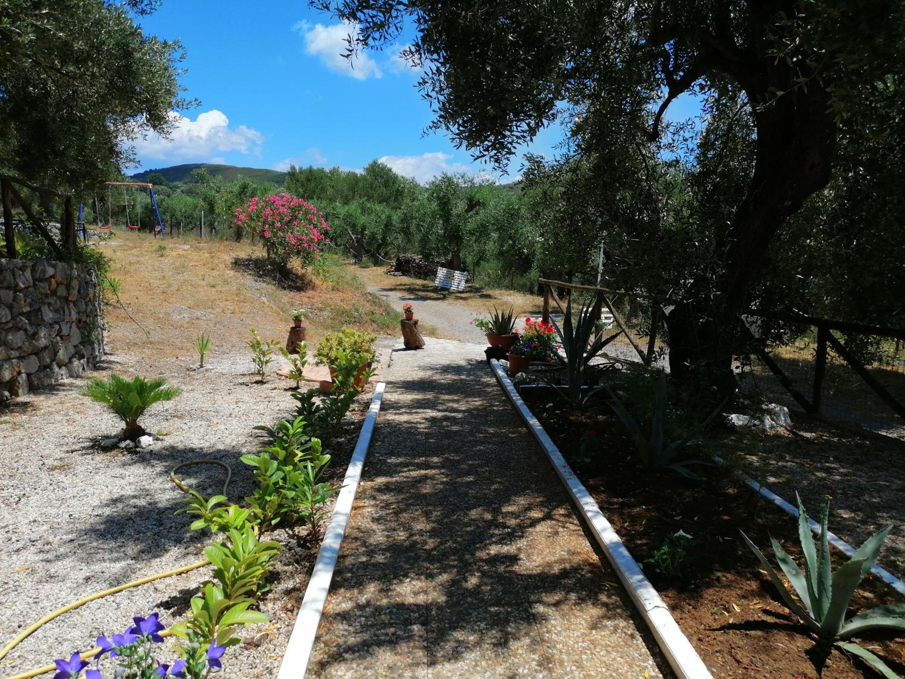 Photo 12