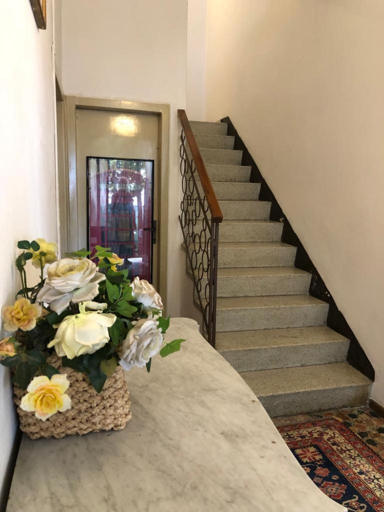 Venice Treviso Airport Bed