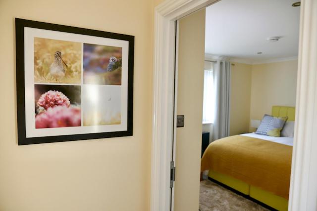 Tu Guesthouse